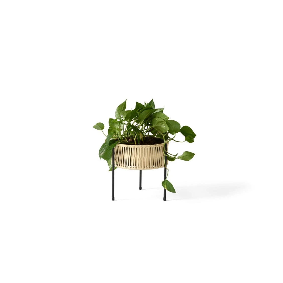 Ferm Living Umanoff Planter 27 Decor 5 Ferm Living Umanoff Planter 27 Decor