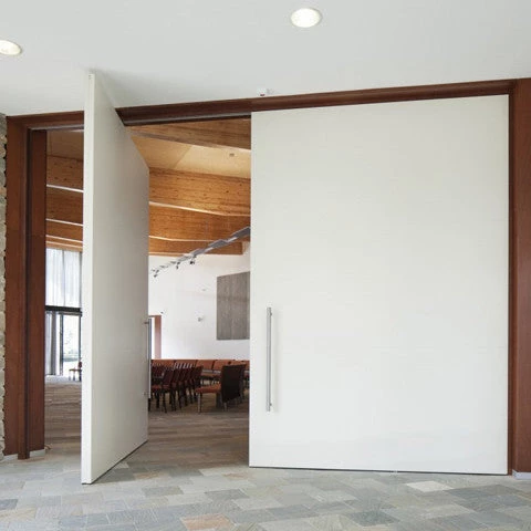 DOOR HARDWARE FritsJurgens Pivot Door Hinge 2 DOOR HARDWARE FritsJurgens Pivot Door Hinge