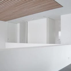 DOOR HARDWARE FritsJurgens Pivot Door Hinge 13 DOOR HARDWARE FritsJurgens Pivot Door Hinge