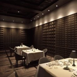 Sugatsune Mono Flat LIN-X Hinge 9 Sugatsune Mono Flat LIN-X Hinge