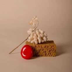 Schneid HARDWARE Fossil Wall Hooks Set 21 Schneid HARDWARE Fossil Wall Hooks Set