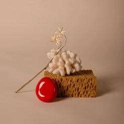 Schneid Pebble Fossil Wall Hook