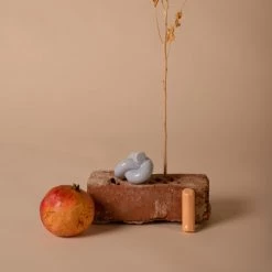 Schneid Serpent Fossil Wall Hook