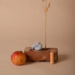 Schneid Pebble Fossil Wall Hook 17 Schneid Pebble Fossil Wall Hook