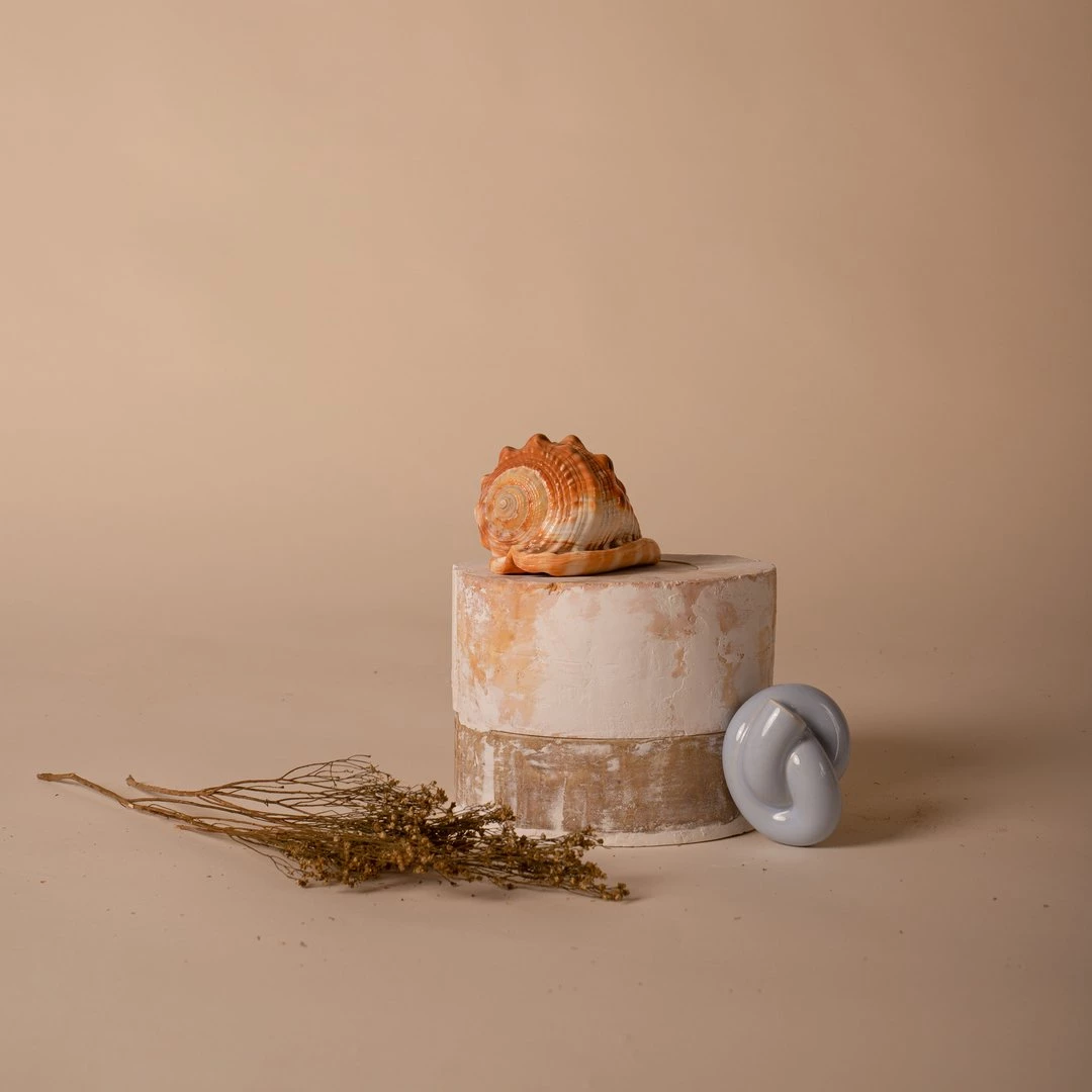 Schneid Pebble Fossil Wall Hook 7 Schneid Pebble Fossil Wall Hook