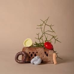 Schneid Serpent Fossil Wall Hook