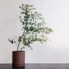 Ferm Living Sekki Pot Plant Life