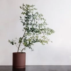 Ferm Living Sekki Pot Plant Life