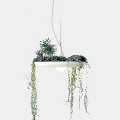 Object/Interface Babylon Pendant Planter Plant Life
