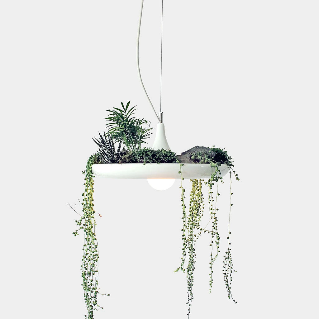 Object/Interface Babylon Pendant Planter Plant Life 1 Object/Interface Babylon Pendant Planter Plant Life