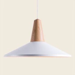Schneid Ceiling Lighting Eikon Shell Pendants 45 Schneid Ceiling Lighting Eikon Shell Pendants