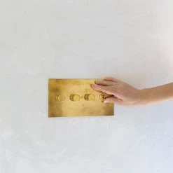 Rotary Dimmers By Forbes & Lomax