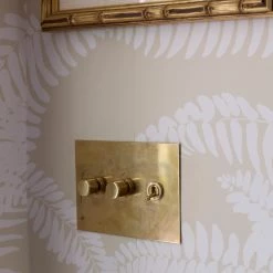 Rotary Dimmers By Forbes & Lomax