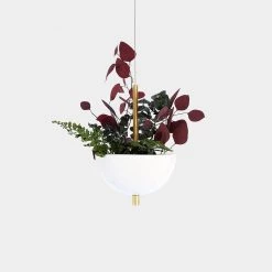 Object/Interface Plant Life Hemisphere Planter 9 Object/Interface Plant Life Hemisphere Planter