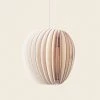 Schneid Ceiling Lighting Pirum Pendant