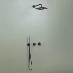 D Line Qtoo Two-Way Shower