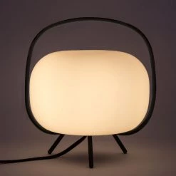 From The Bay Wander Light