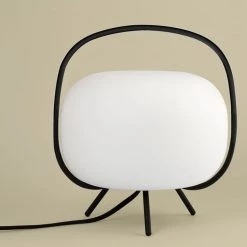 From The Bay Wander Light 6 From The Bay Wander Light