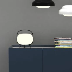 From The Bay Wander Light