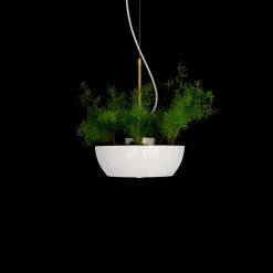 Object/Interface Well Pendant Planter WALL HARDWARE