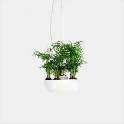 Object/Interface Well Pendant Planter WALL HARDWARE