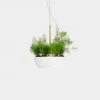 Object/Interface Well Pendant Planter WALL HARDWARE