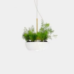 Object/Interface Well Pendant Planter WALL HARDWARE