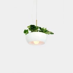 Object/Interface Well Pendant Planter WALL HARDWARE
