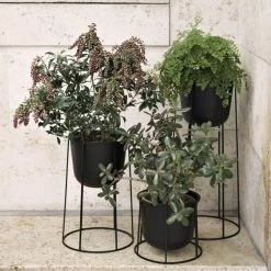 Menu Norm Wire Pot For Wire Base Plant Life 5 Menu Norm Wire Pot For Wire Base Plant Life